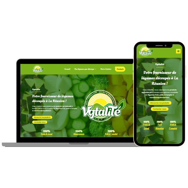Réalisation Site VGtalité